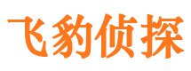 桃江市婚姻出轨调查